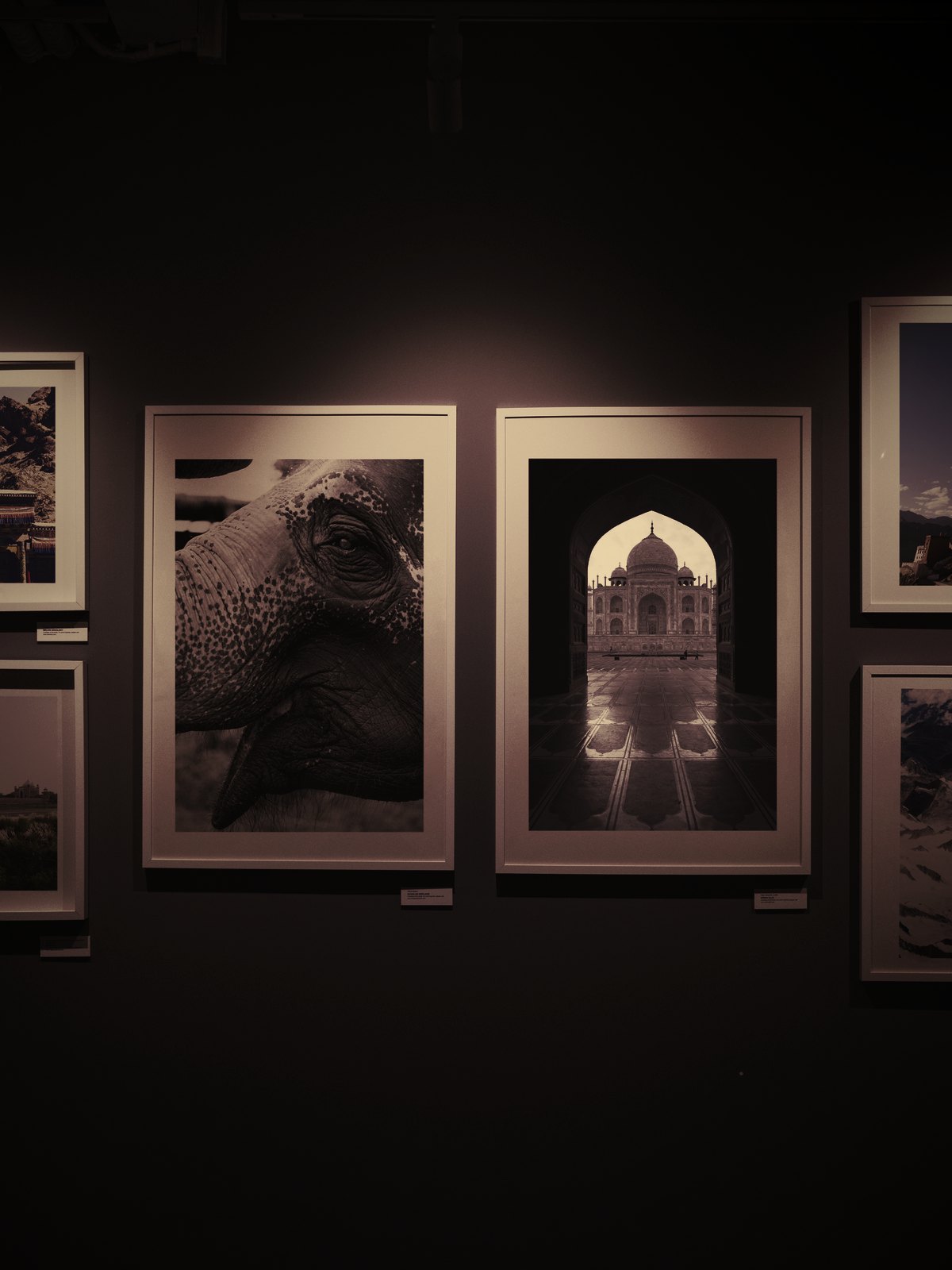 Framed screens from finished applications hung on a dark gallery wall, lit from above.